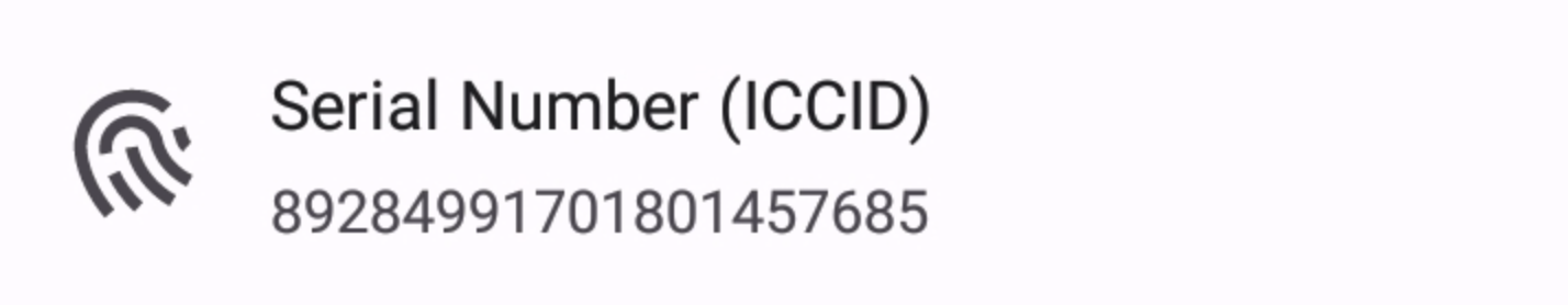 Serial Number (ICCID)